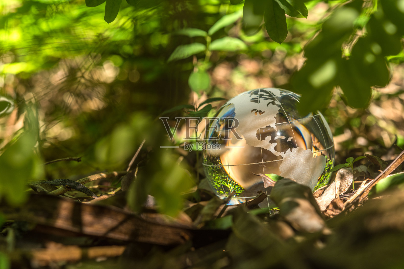 回归自然照片摄影图片