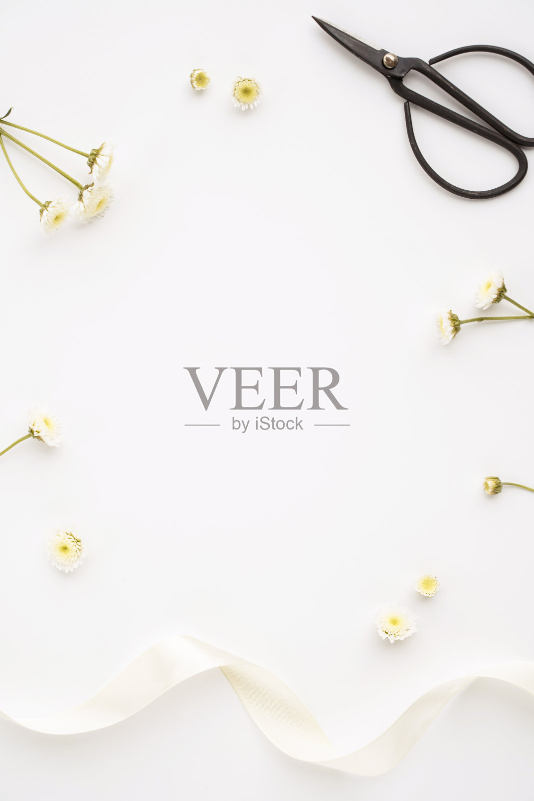 优雅的公寓。照片摄影图片