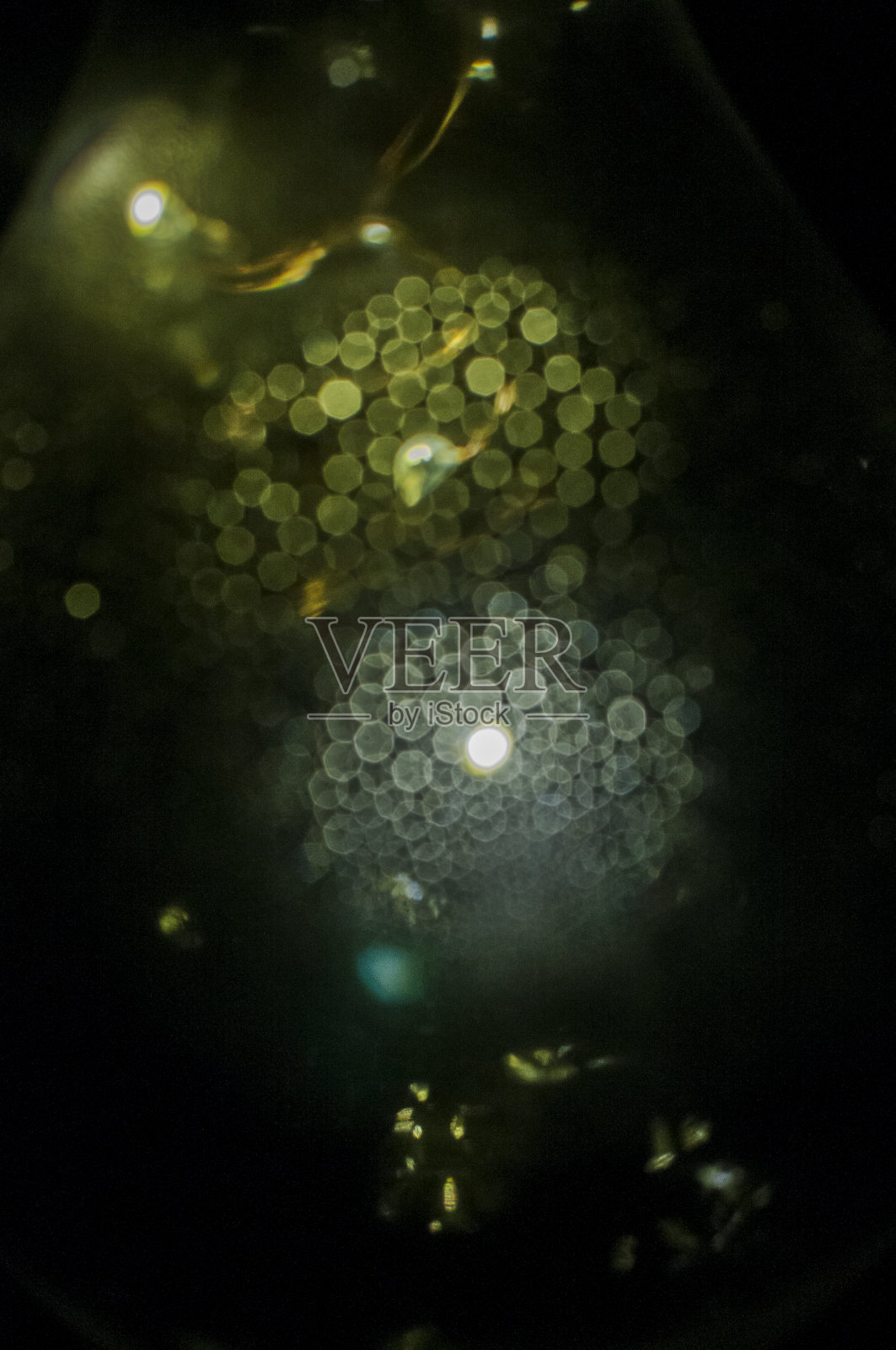 凝结水滴的太阳能灯泡照片摄影图片