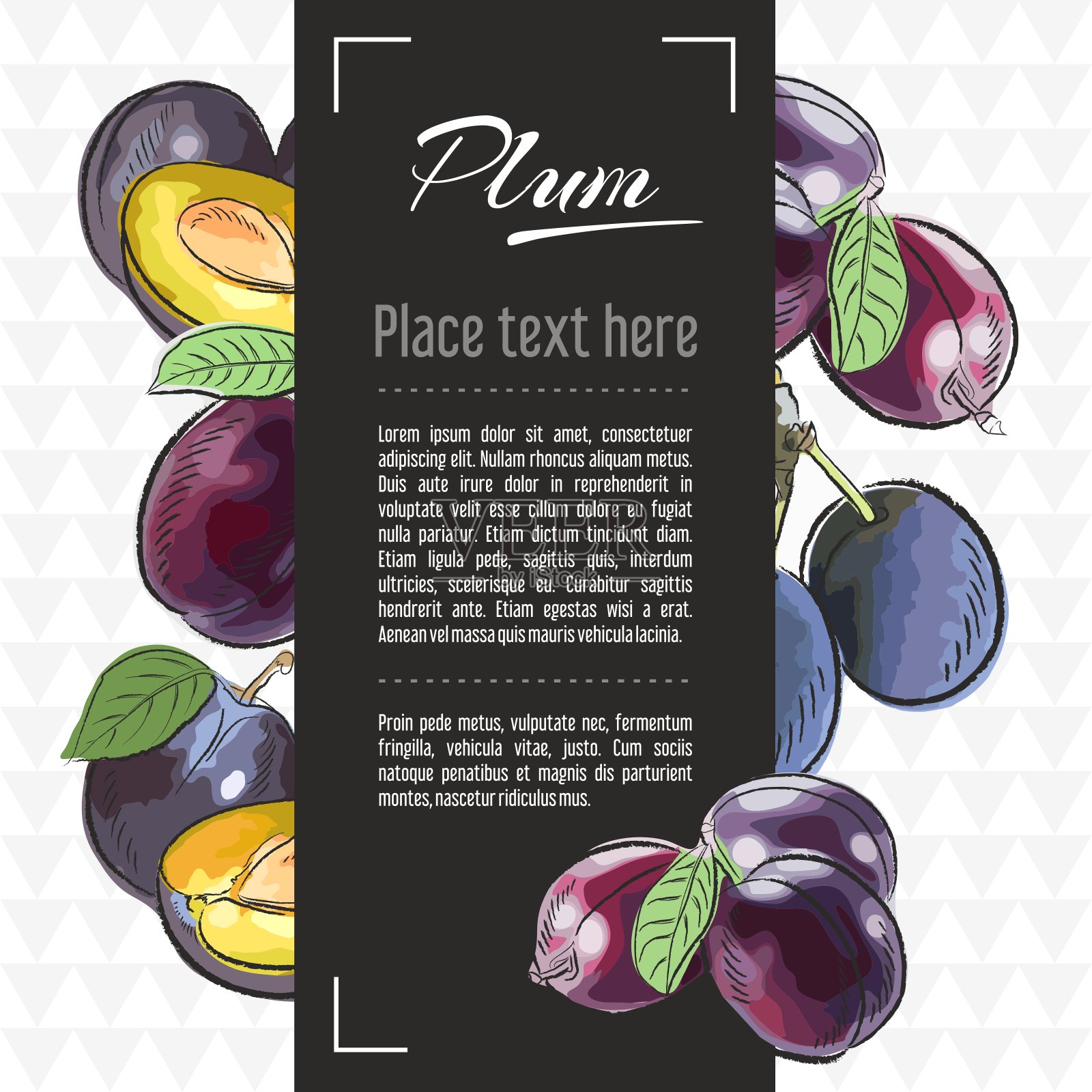 梅子水果矢量菜单设计模板。矢量水果插图与手绘涂鸦贺卡，旗帜设计模板素材