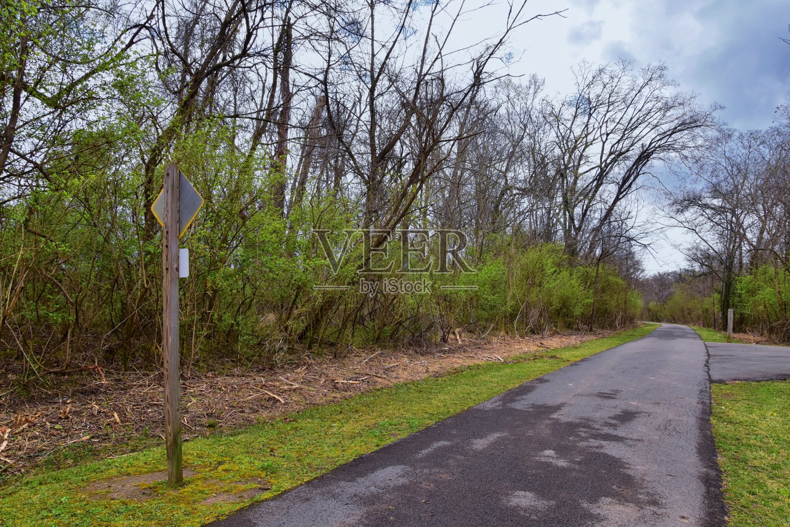 自然景观和沿着Shelby Bottoms绿道和坎伯兰河自然区域的路径，低地阔叶林，开阔的田野，湿地和小溪，纳什维尔，田纳西州。美国。照片摄影图片