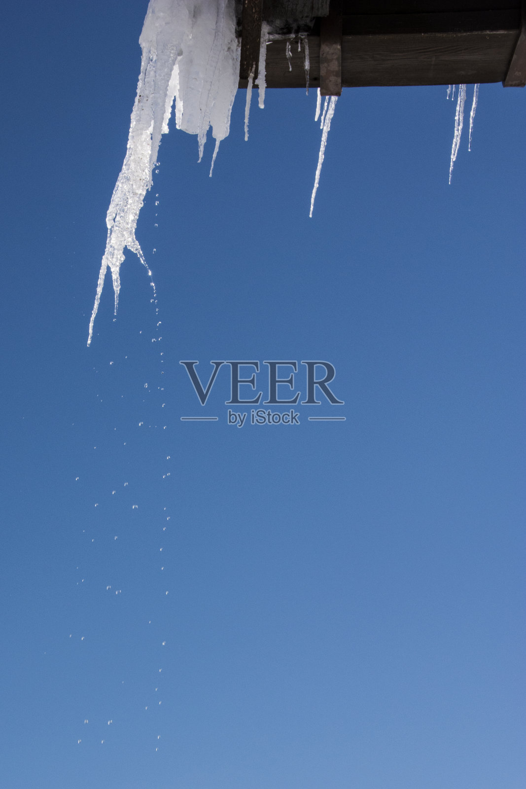 在温暖的日子里从冰柱上滴下的水照片摄影图片