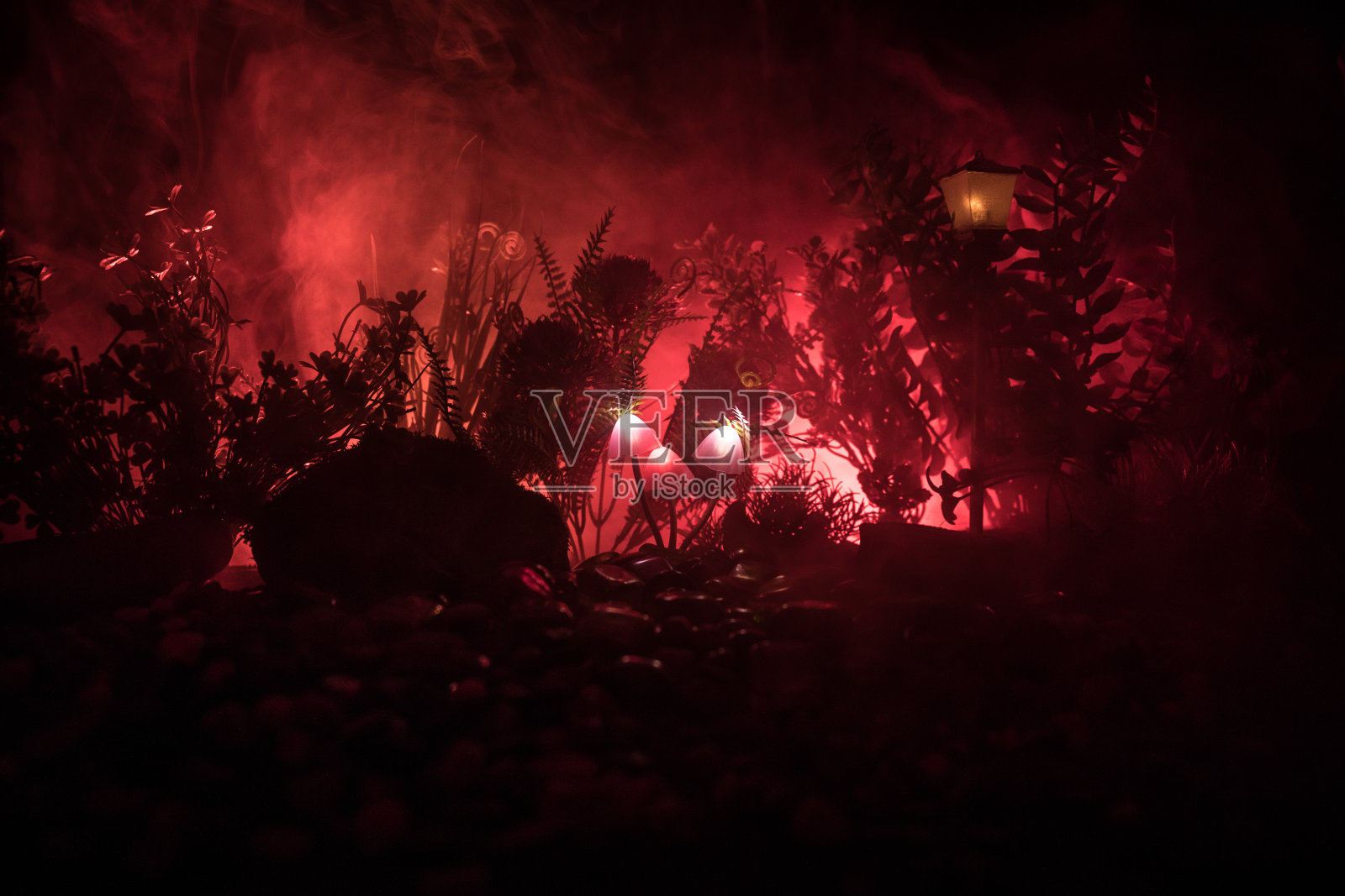 幻想发光蘑菇在神秘的黑暗森林特写。美丽的微距魔术蘑菇或灵魂迷失在阿凡达森林。仙女灯的背景与雾。照片摄影图片