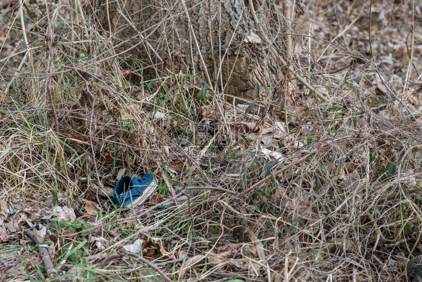 德国，一个蓝色的孩子把拖鞋扔在高高的草地上照片摄影图片