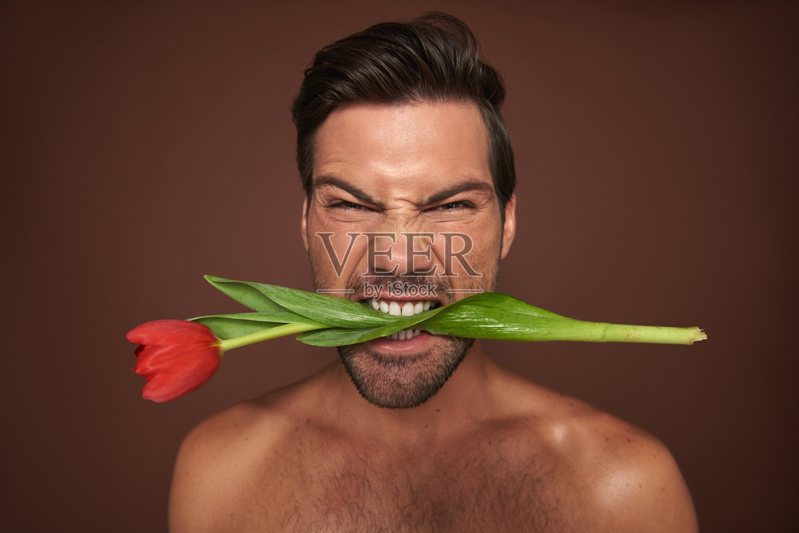 近距离表现男子气概与郁金香在嘴照片摄影图片