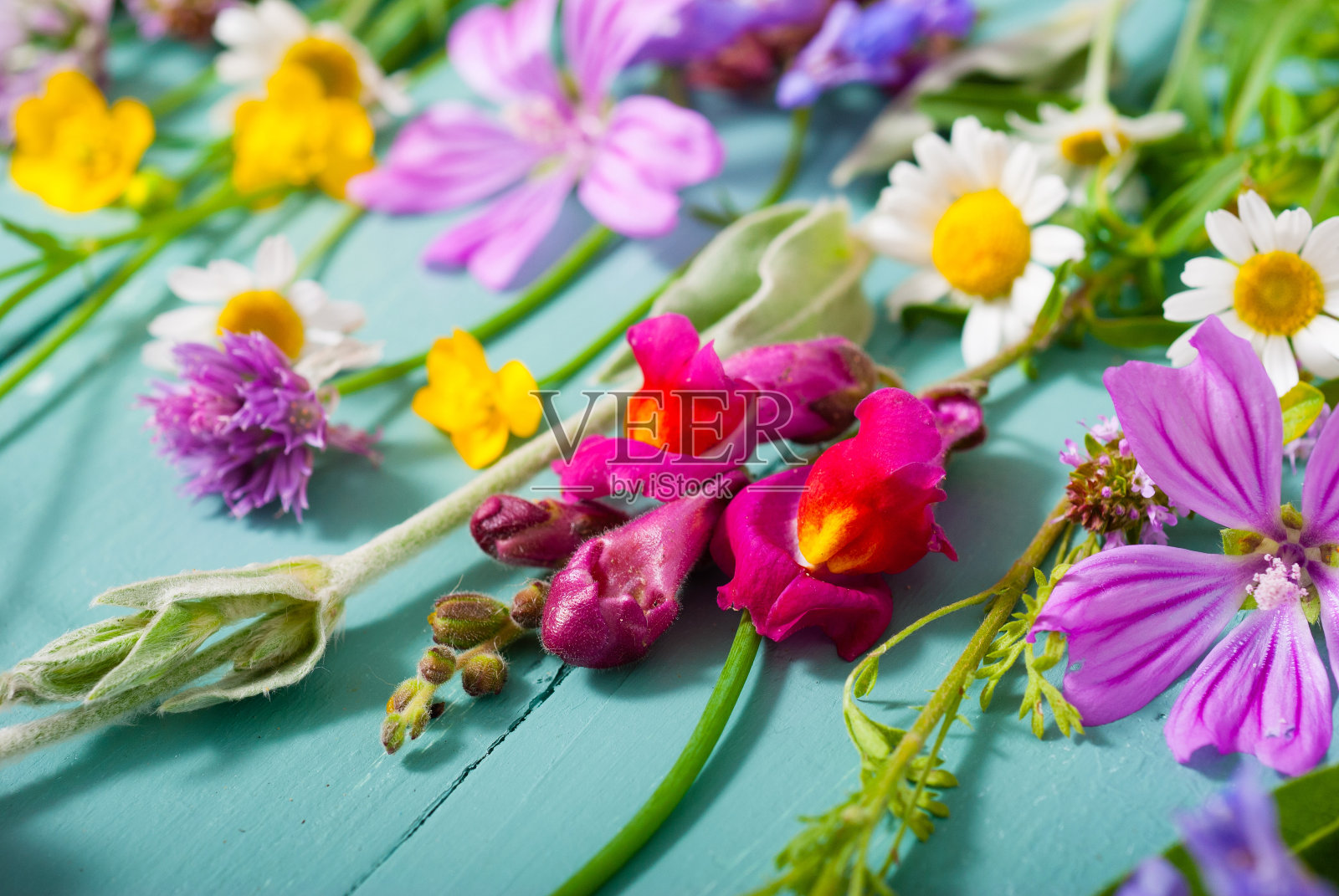 鲜花的背景照片摄影图片