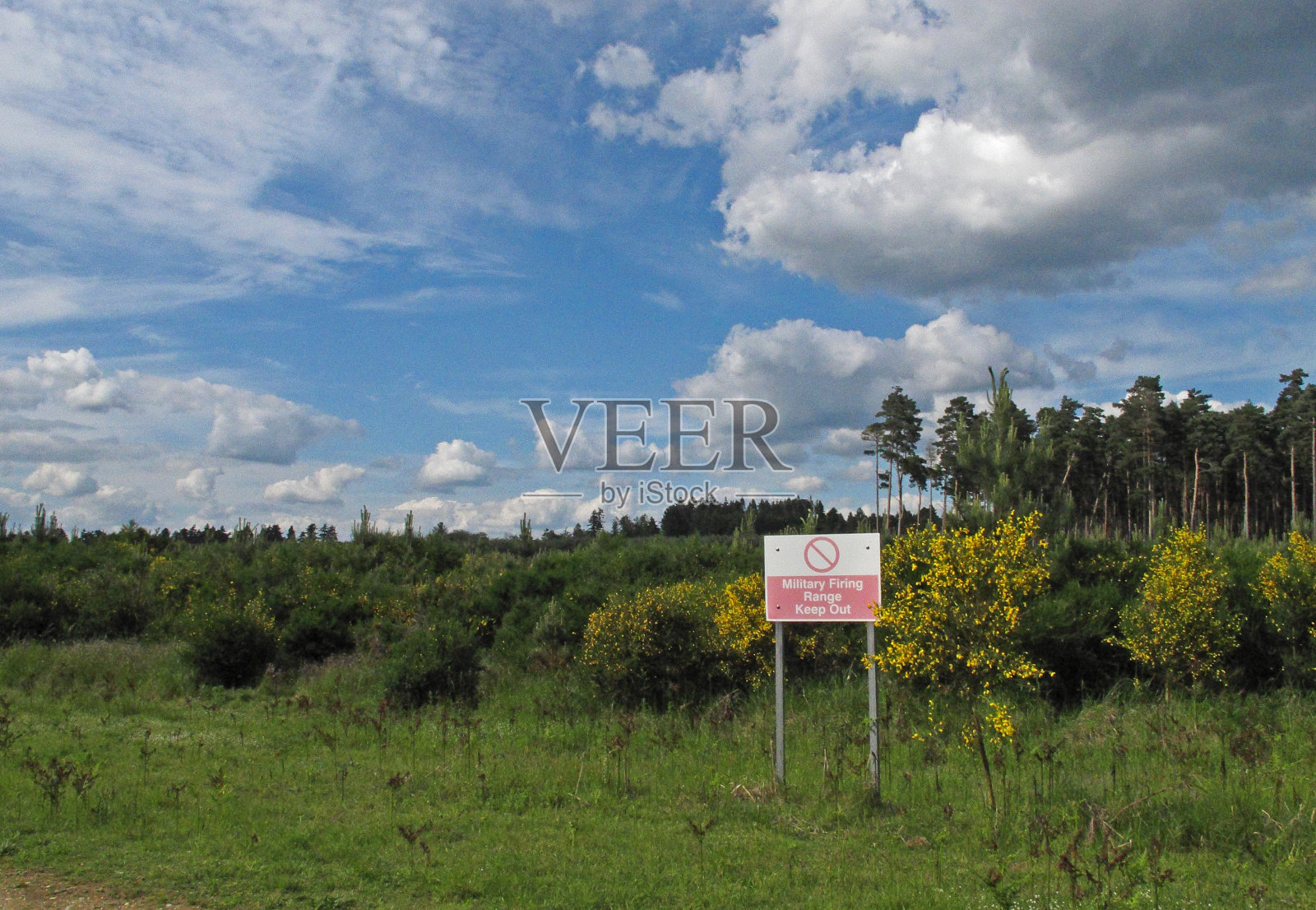 军事靶场上的自然栖息地照片摄影图片