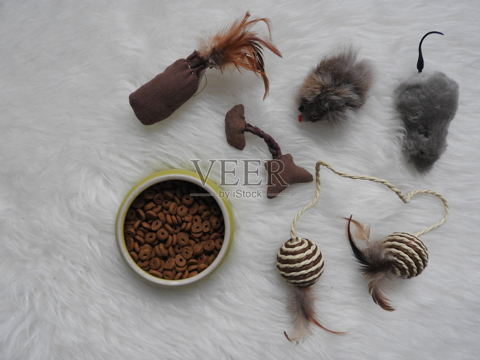 平铺组成与配件的狗和猫在木制背景。宠物护理。照片摄影图片