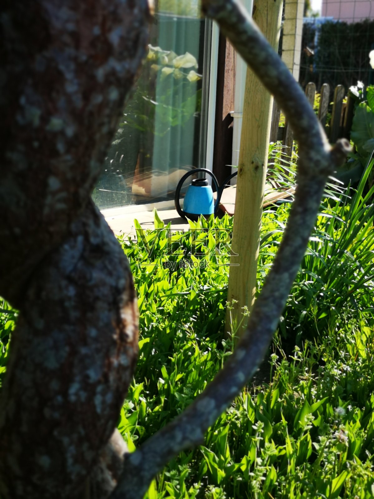 法国花园的蓝色喷壶照片摄影图片