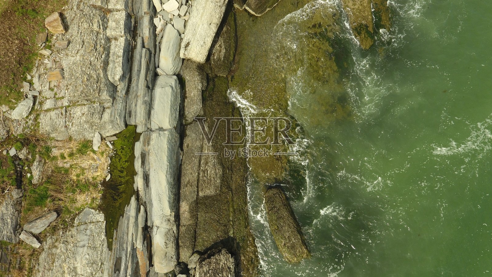 海洋在雾中照片摄影图片