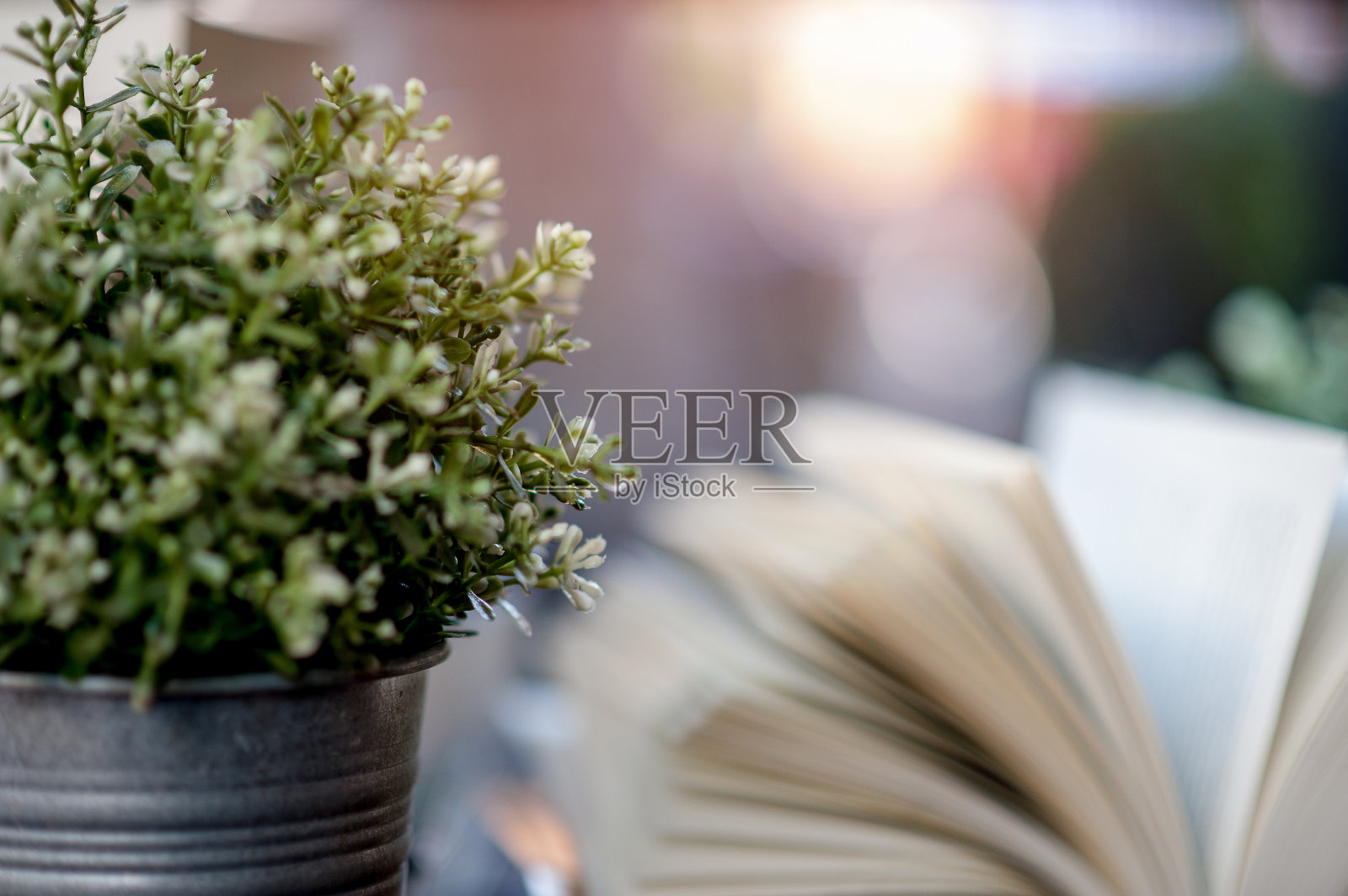 书摆放在书桌上很多书，色彩美丽，为学习、知识、教育——形象照片摄影图片