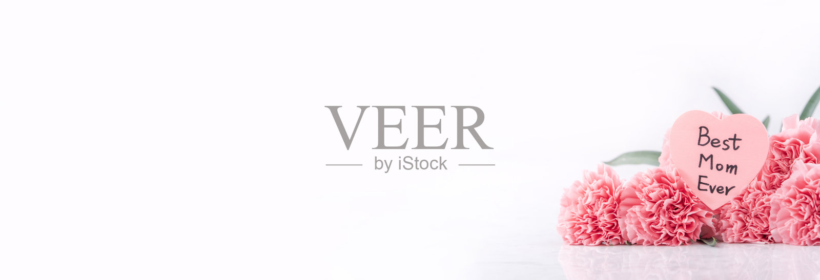 俯视图前，复制空间，关闭，模拟，剪切路径。母亲节概念设计。美丽的新鲜盛开的婴儿粉红色康乃馨孤立在明亮的白色背景。照片摄影图片