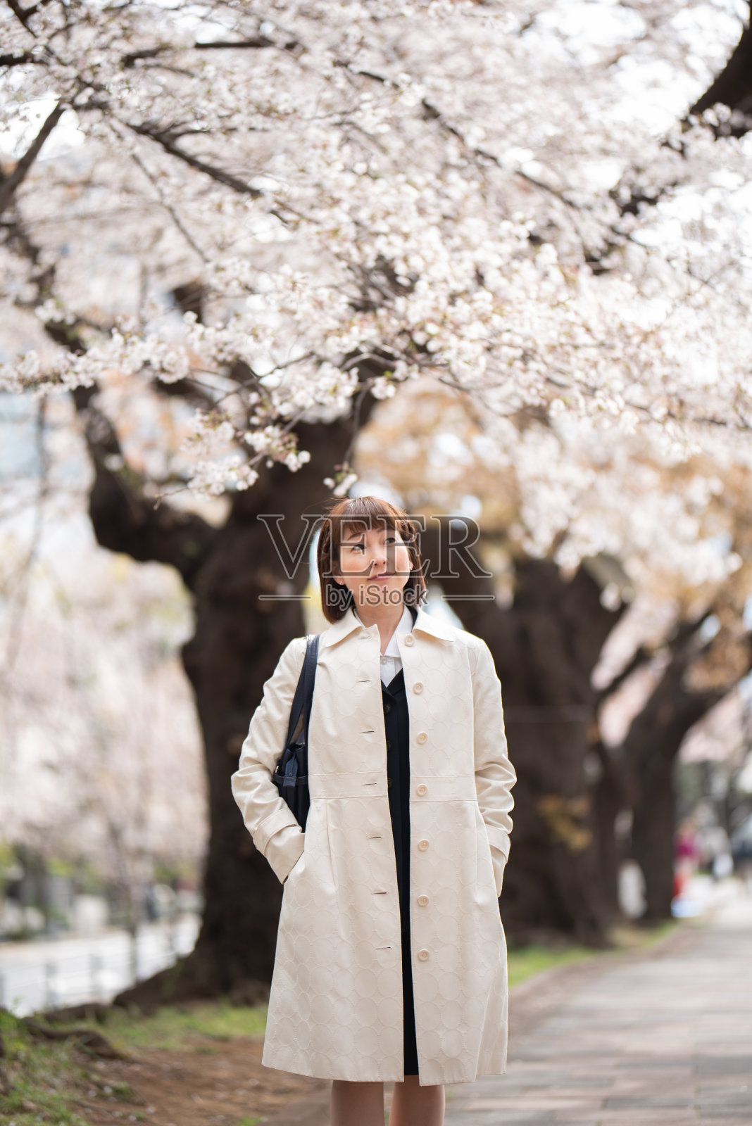 女商人走在樱花盛开的街上照片摄影图片