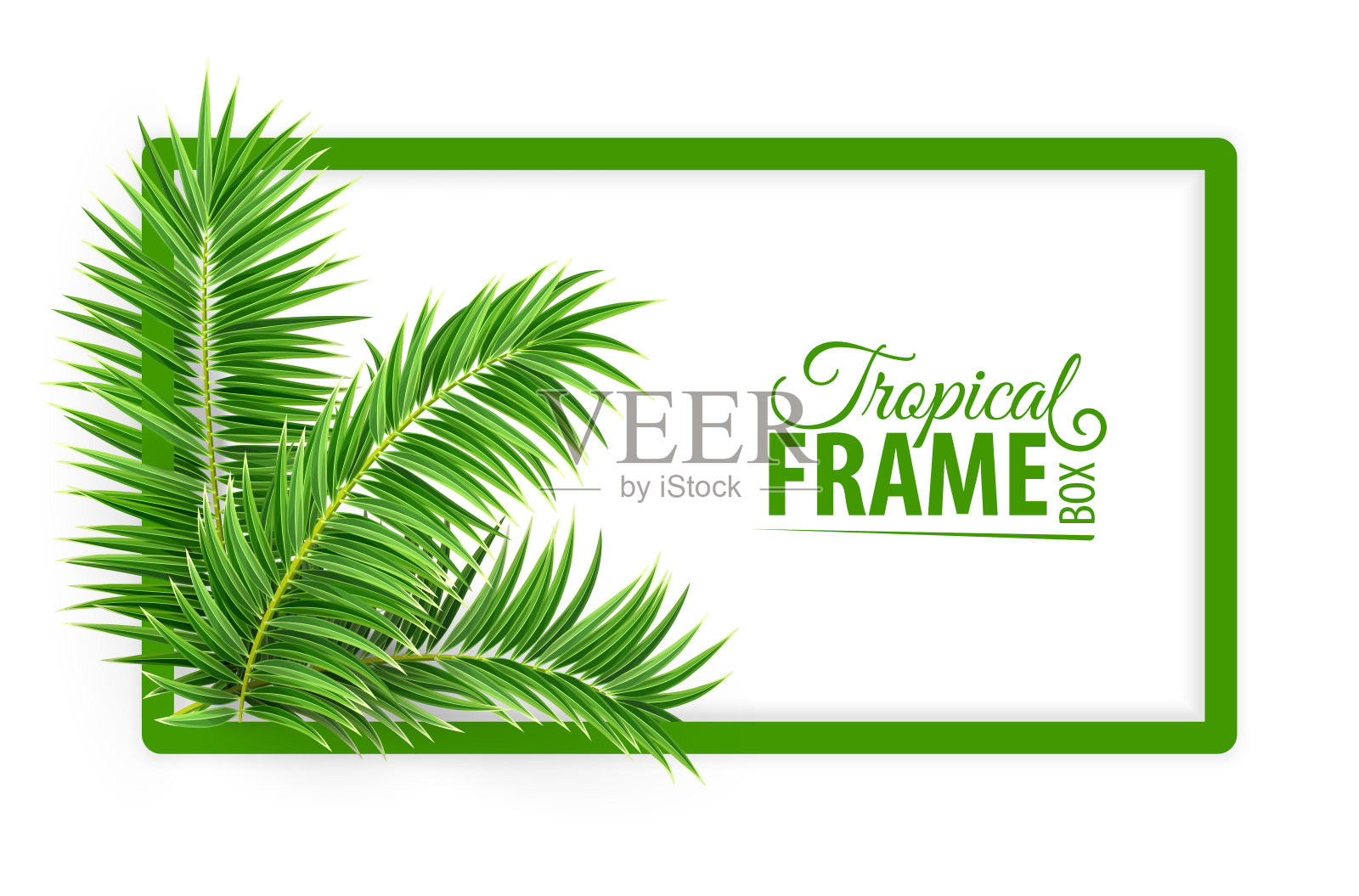 热带横幅框架。设计布局。绿色棕榈叶。矢量插图。设计元素图片