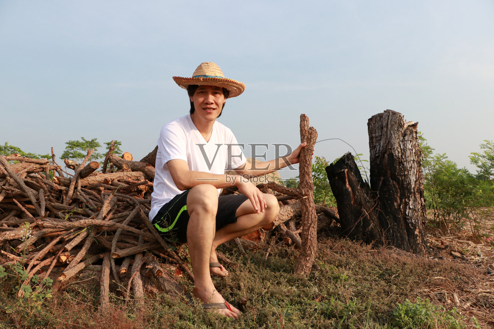农夫戴着草帽，坐在甘蔗农场的柴火堆上。照片摄影图片