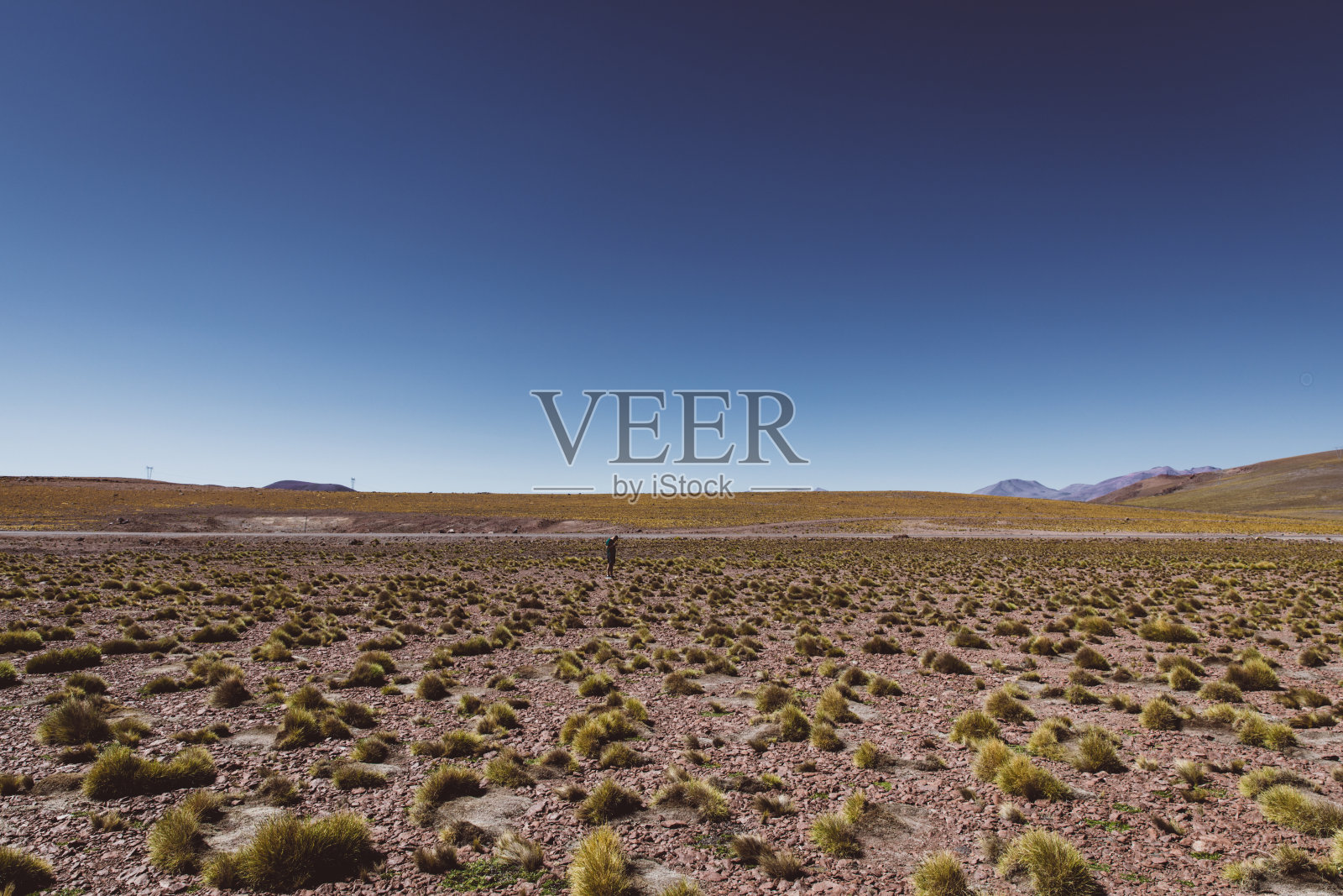 智利阿塔卡马沙漠探险照片摄影图片