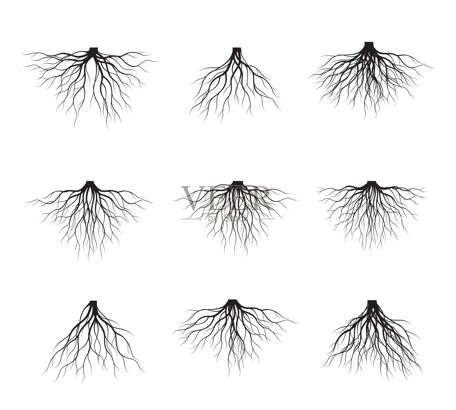 一组黑树根。矢量插图。设计元素图片