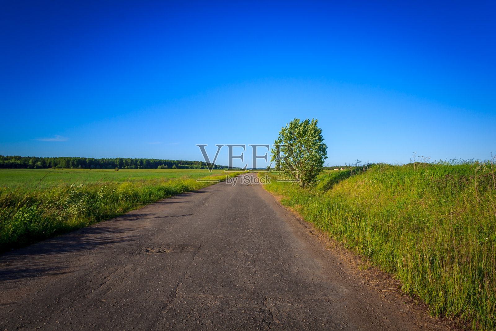 通往田野的路。俄罗斯的开放空间。沥青照片摄影图片