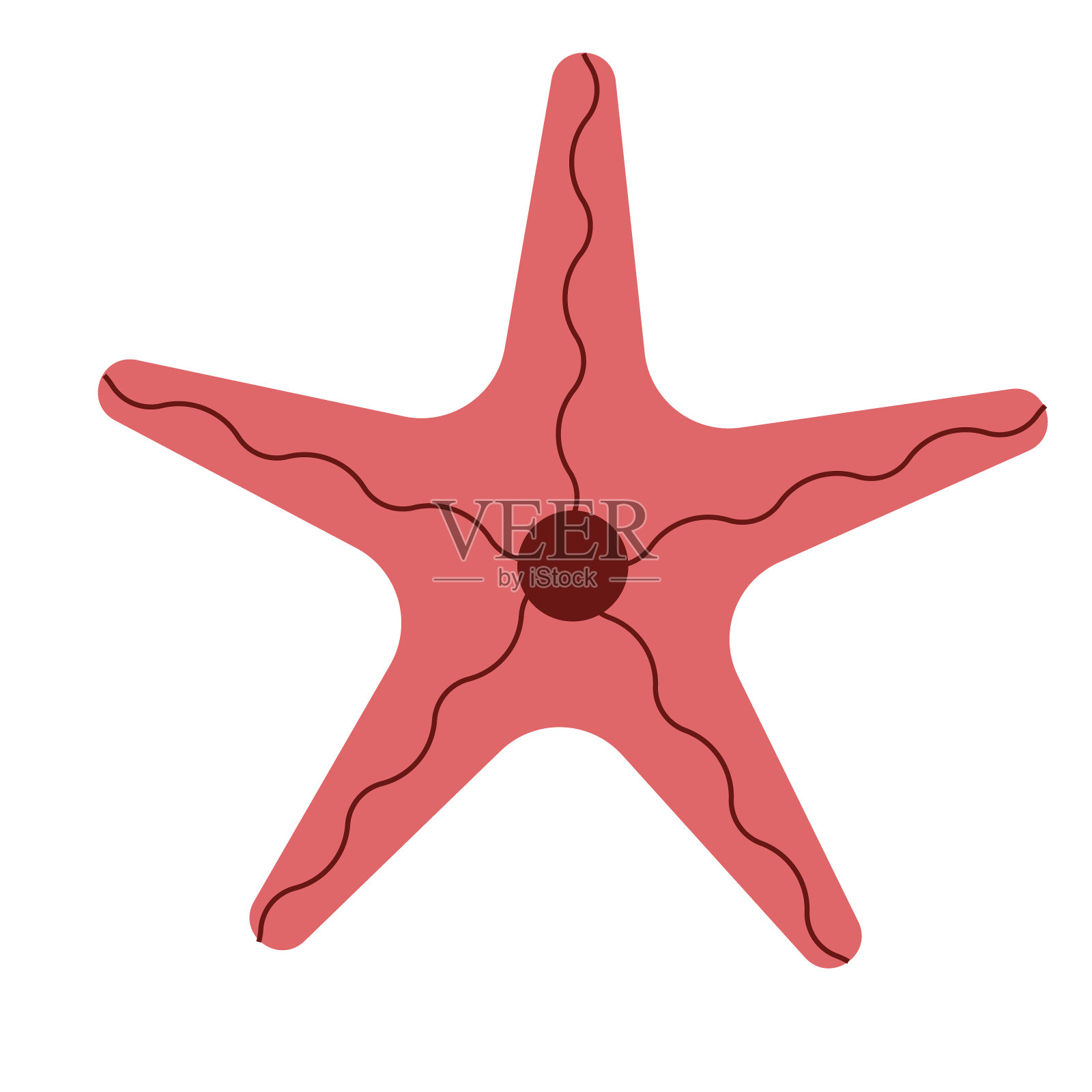 海星平面插图上的白色插画图片素材