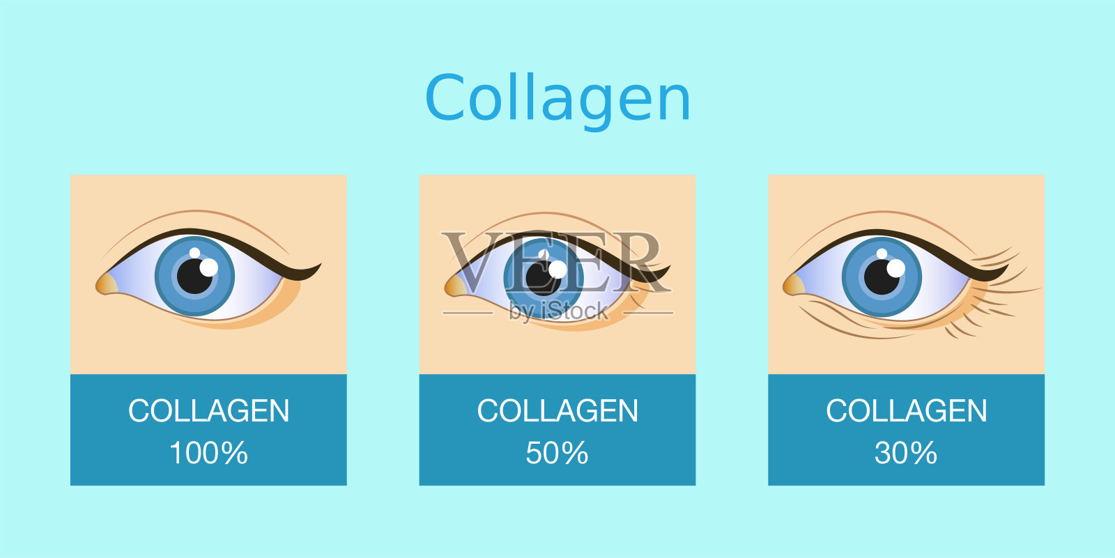 胶原蛋白，护肤载体插画图片素材