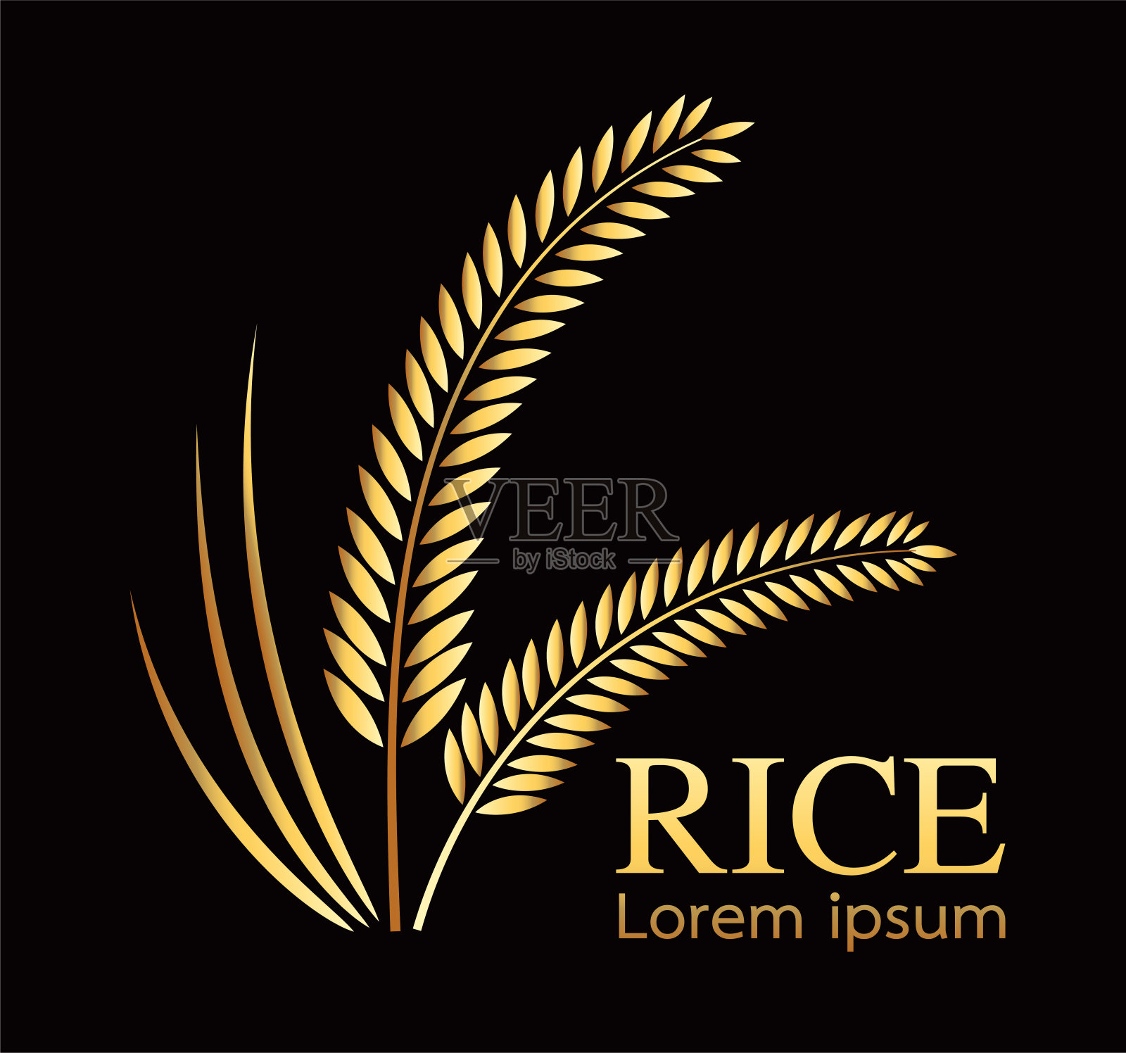 粮食有机天然产品，大米黄金，矢量设计插画图片素材