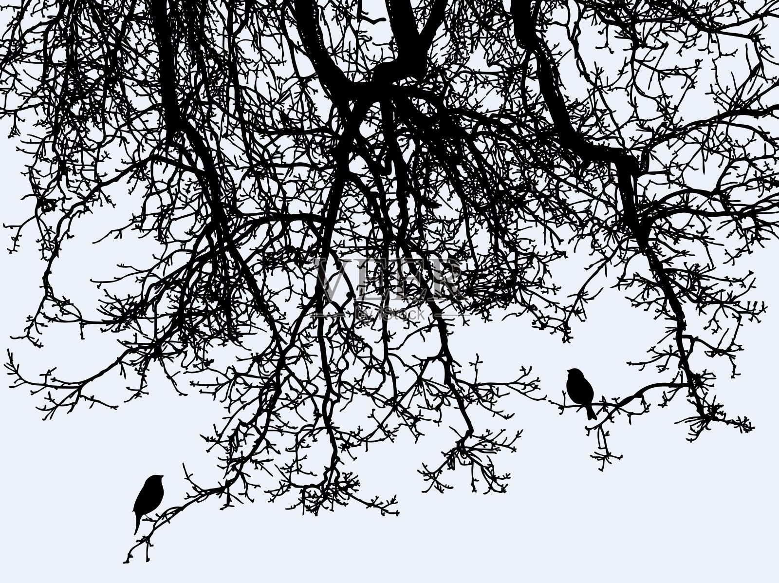 冬天森林里树枝上的鸟儿设计元素图片
