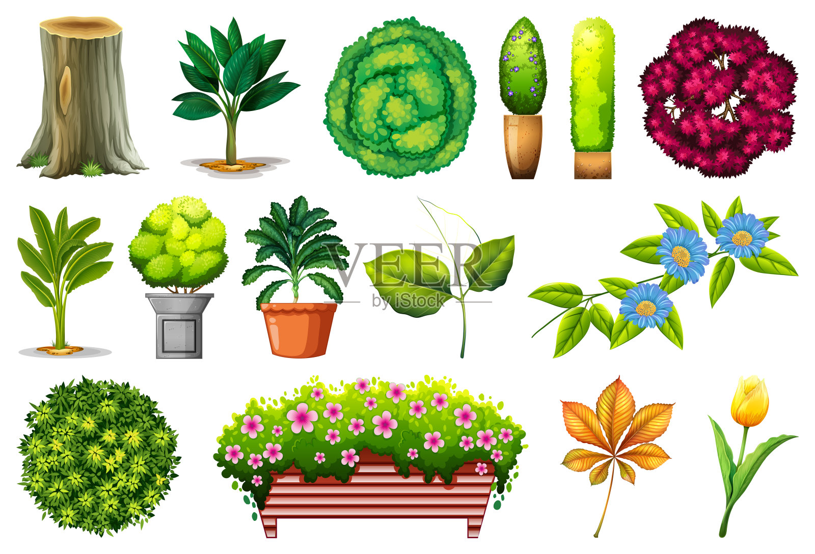 观赏植物套装插画图片素材