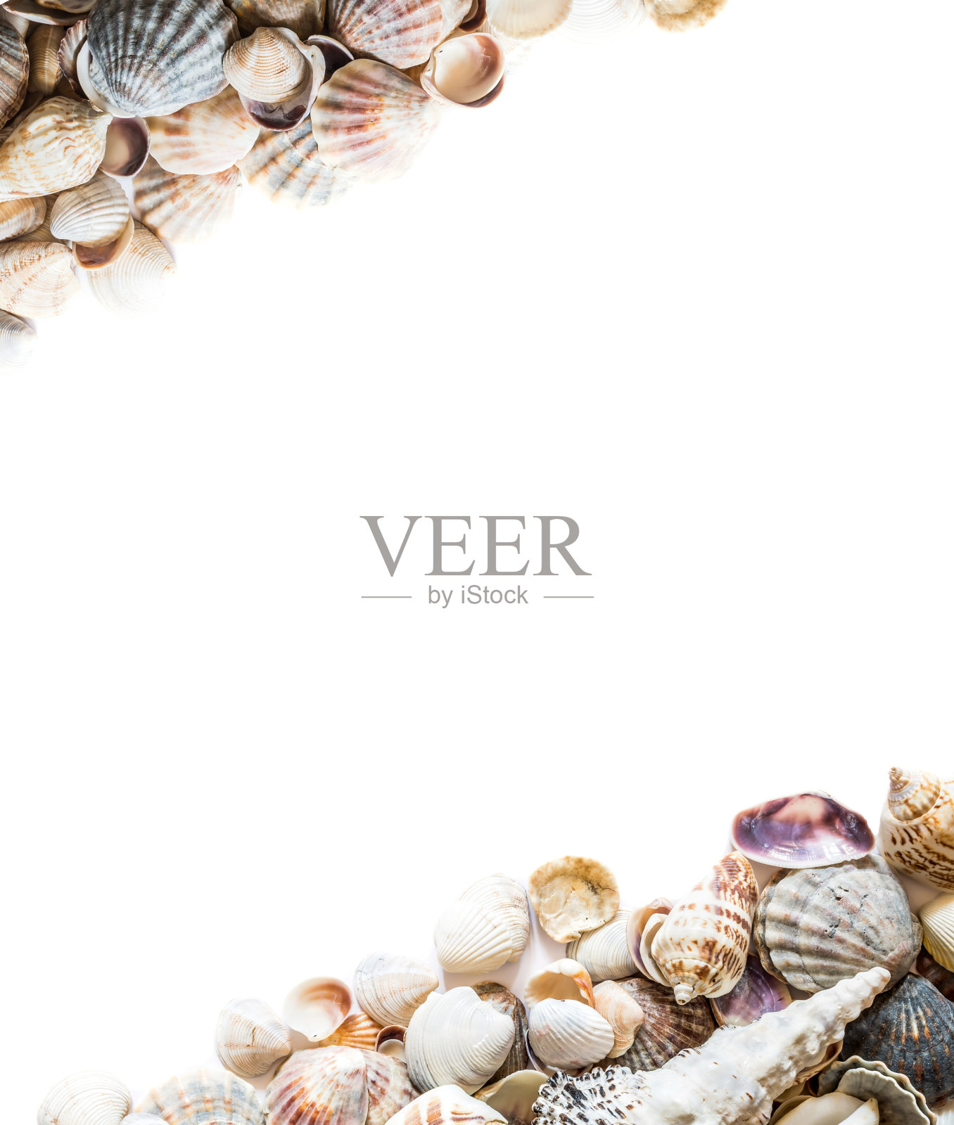 背景与不同的贝壳在两侧和孤立的中心空白文字。大的照片。照片摄影图片