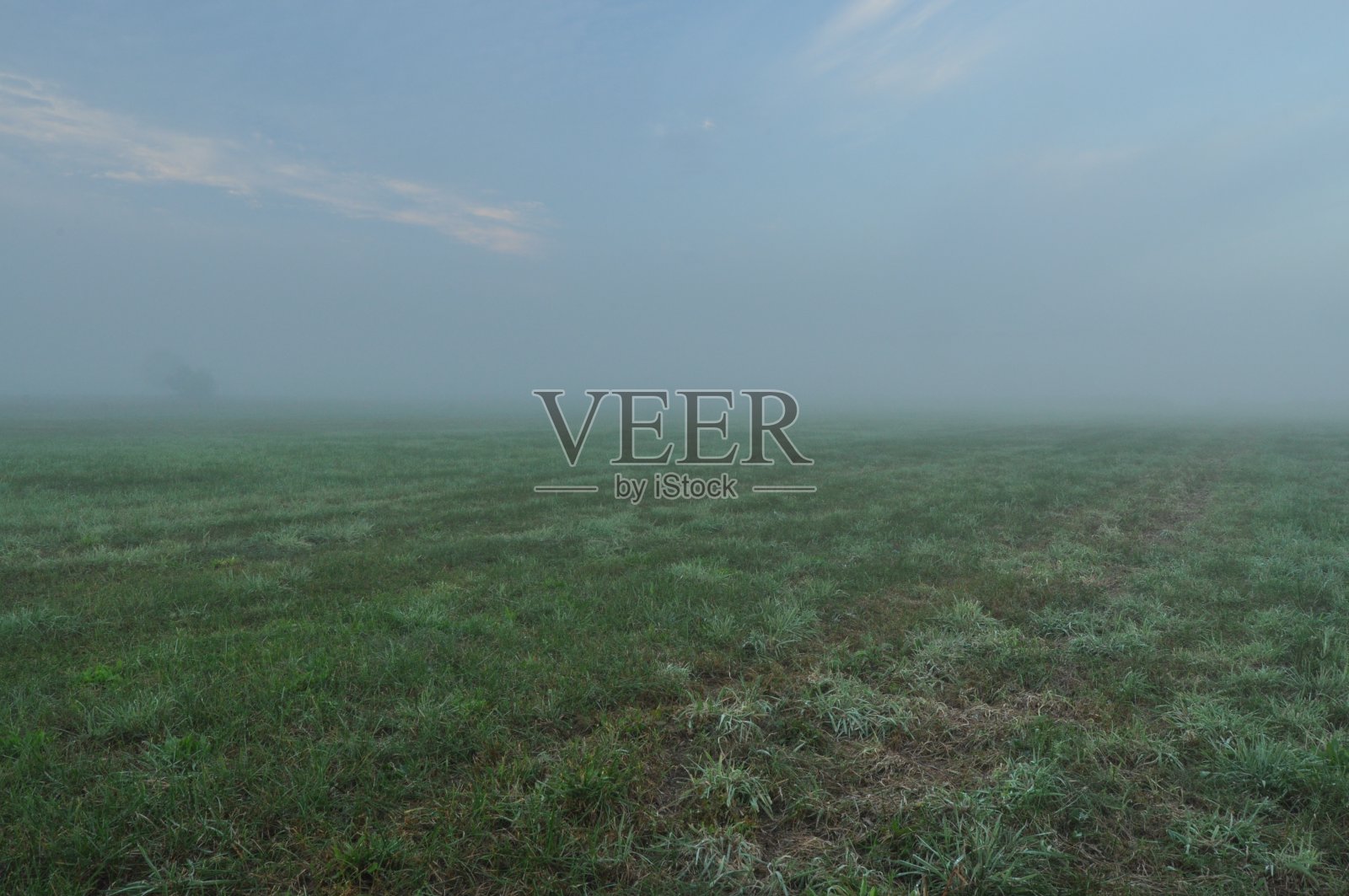 天空。黎明,日出。草地上的云朵。照片摄影图片