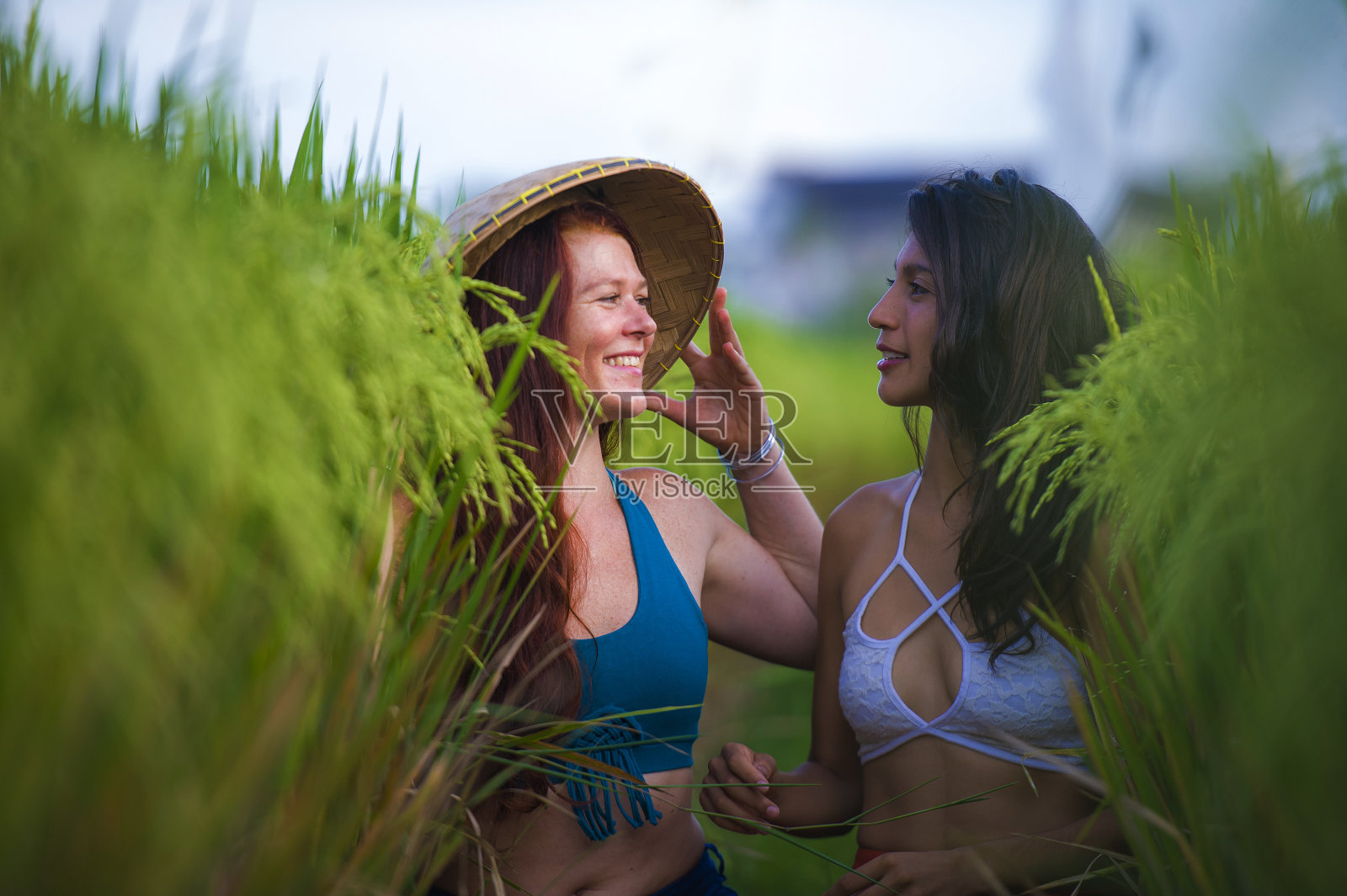 年轻美丽的拉丁女孩和她的迷人的白人女友，两个女人享受暑假在稻田里一起快乐的微笑快乐放松在多样性的友谊和爱照片摄影图片