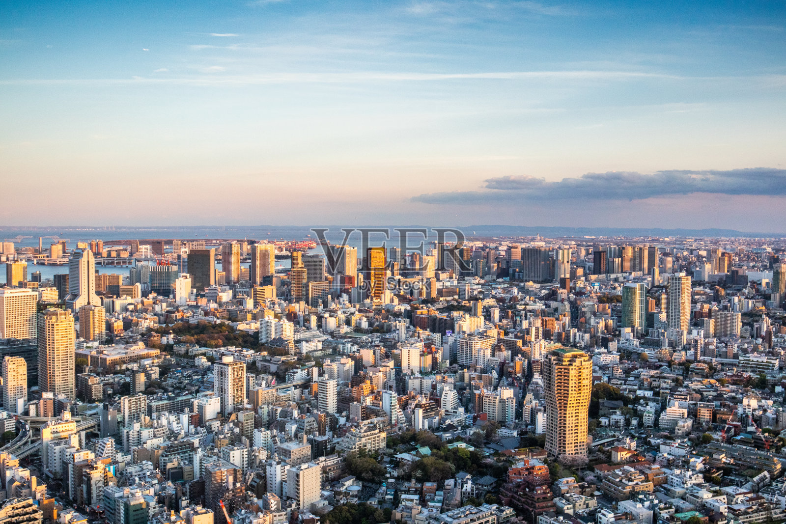 日本东京的现代城市全景照片摄影图片