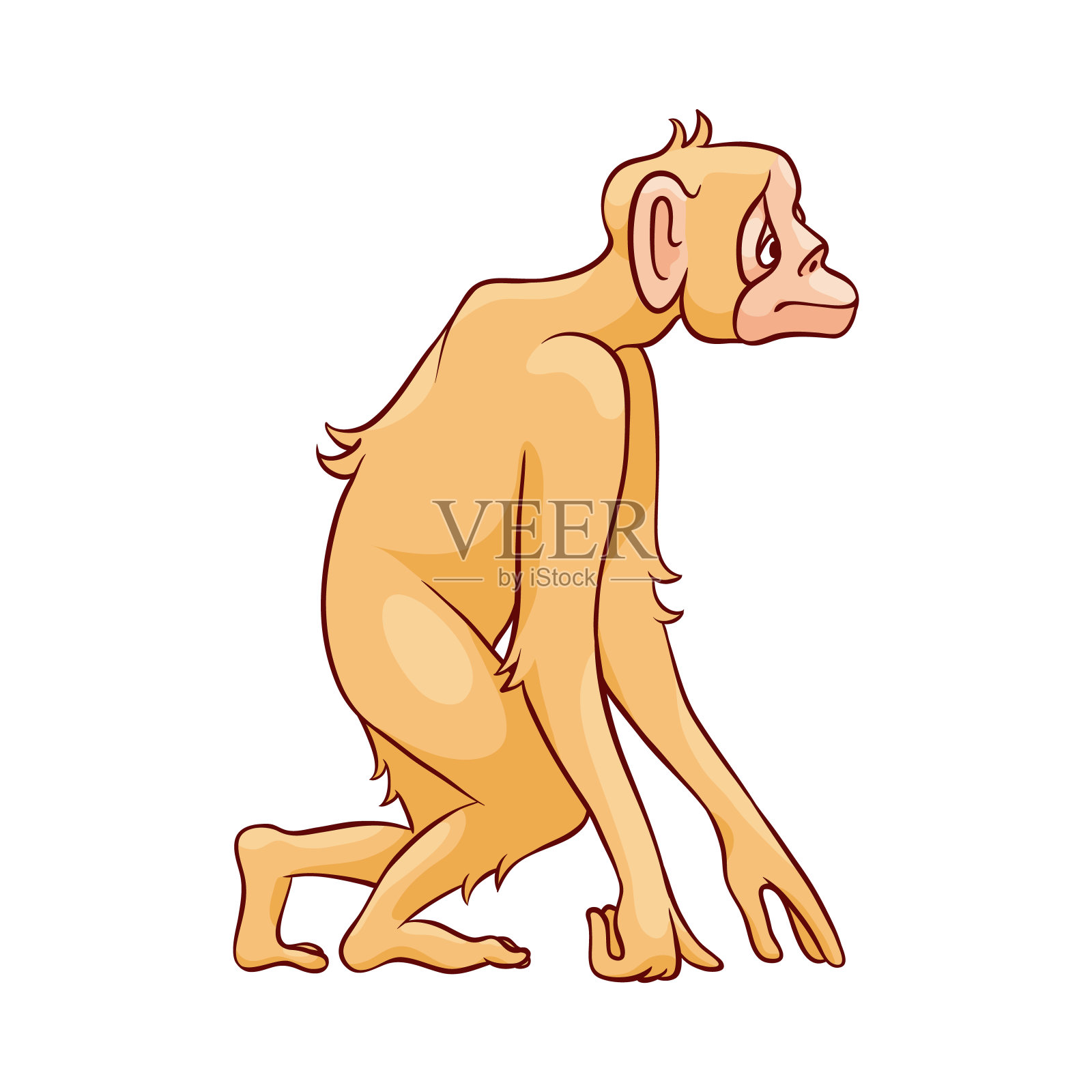 向量插图的猴子站着和期待与兴趣。设计元素图片