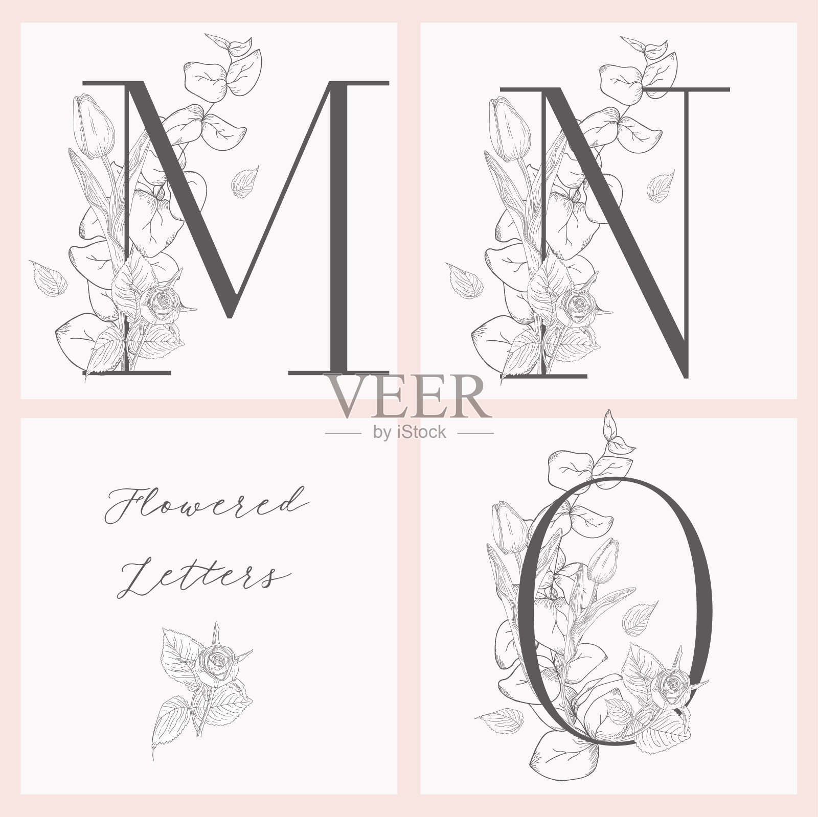 向量盛开的花优雅的字母和标志插画图片素材