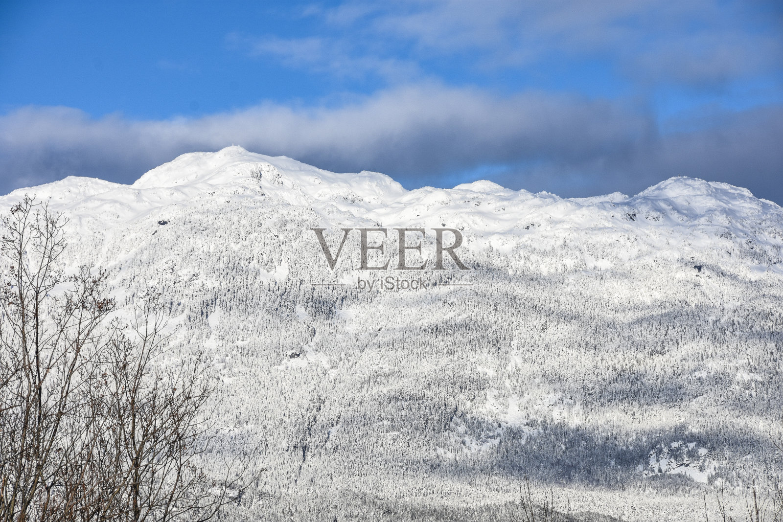 不列颠哥伦比亚省的雪山照片摄影图片