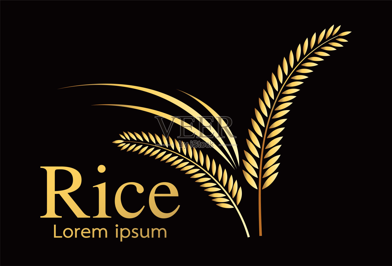 粮食有机天然产品，大米黄金，矢量设计插画图片素材