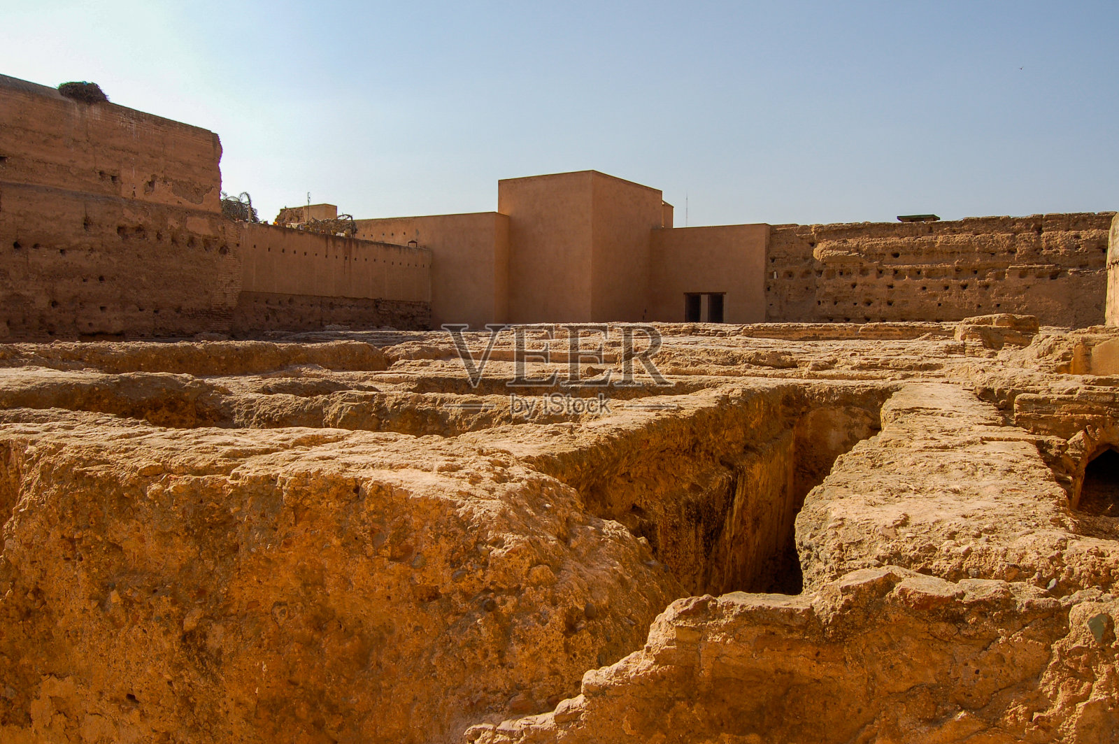 El巴迪照片摄影图片