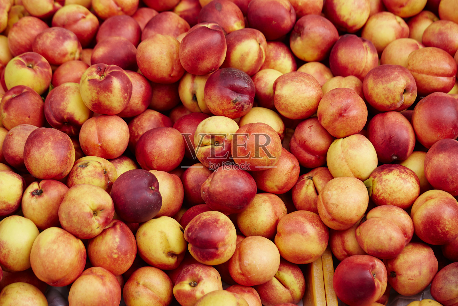 李子照片摄影图片