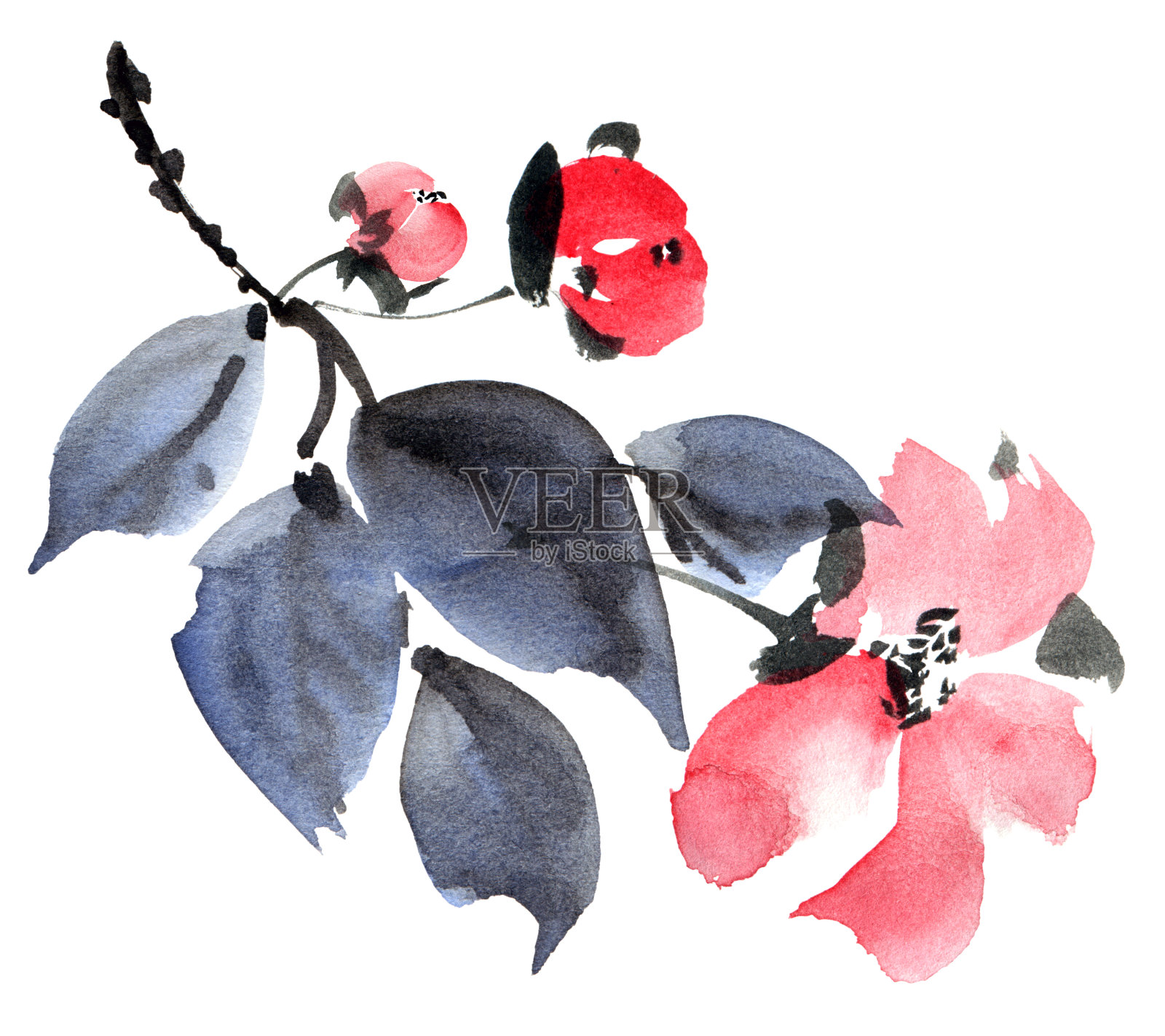 水彩画花插画图片素材