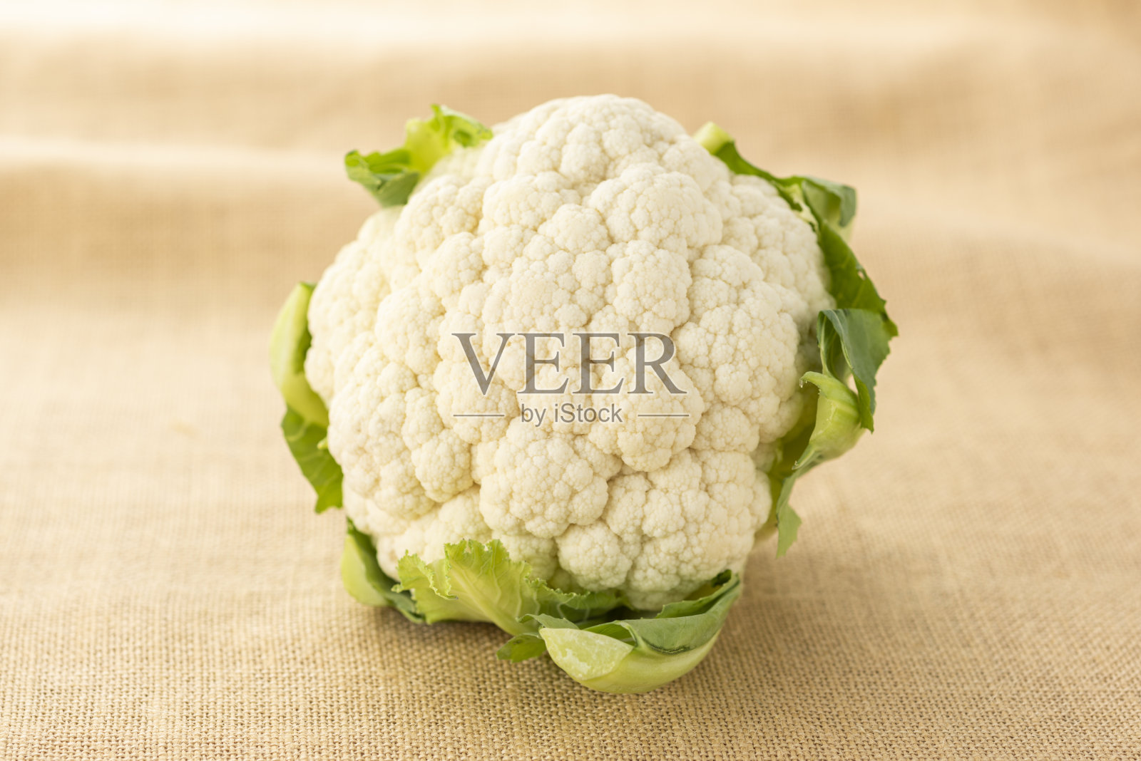 菜花照片摄影图片