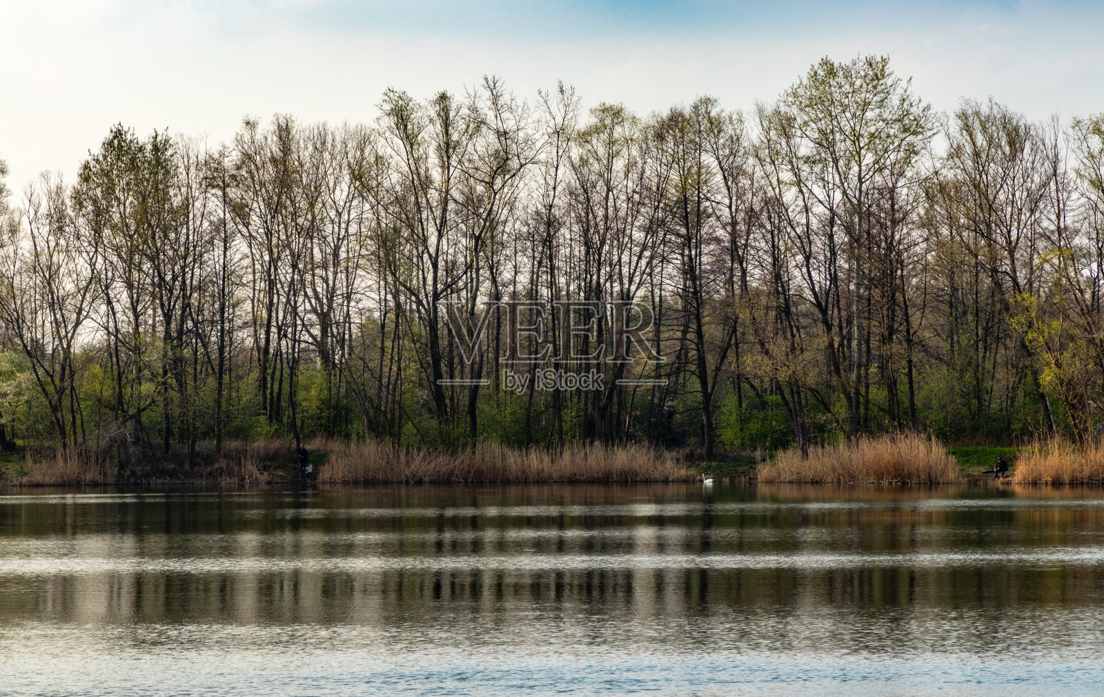 克拉科夫附近的沃拉鲁塞卡的池塘照片摄影图片