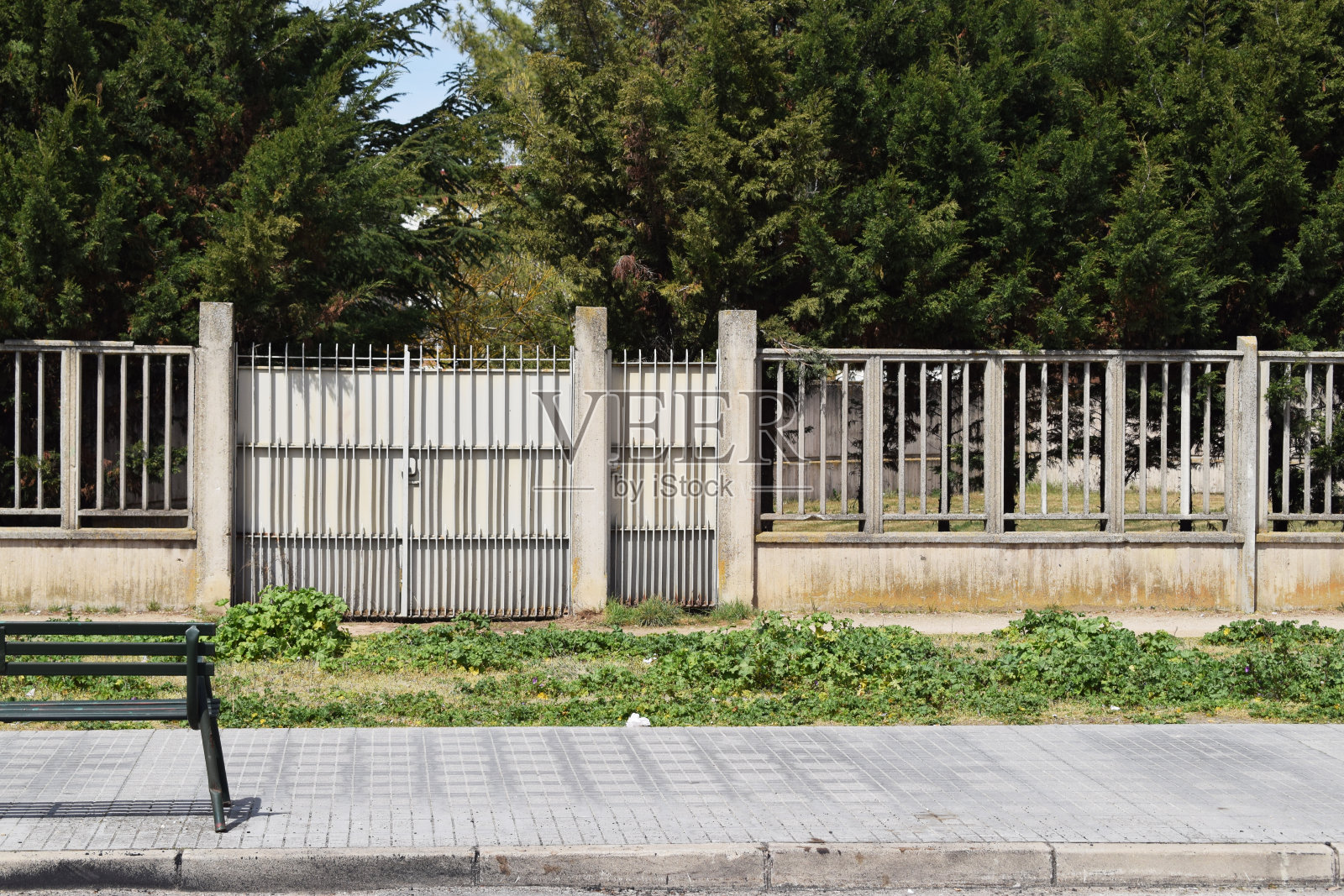 城市的绿色公园照片摄影图片