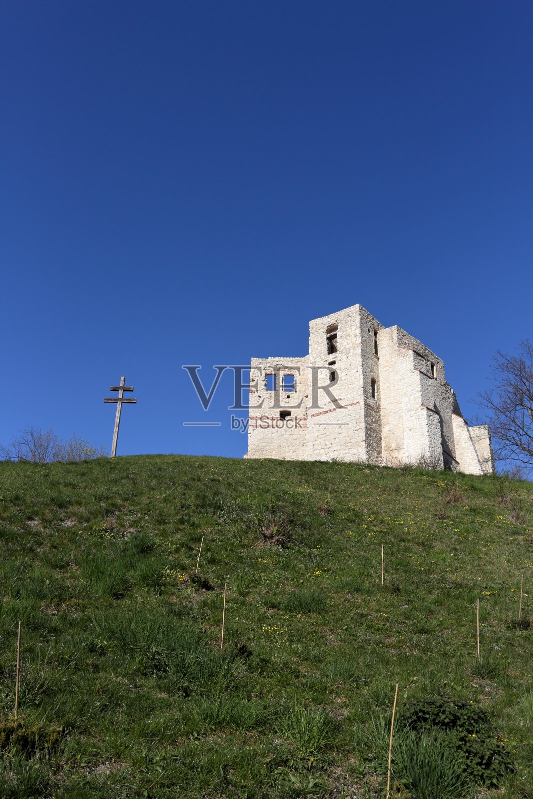 波兰卡兹米耶尔兹多尔尼一座绿色山丘上的罗马式城堡的白色废墟照片摄影图片