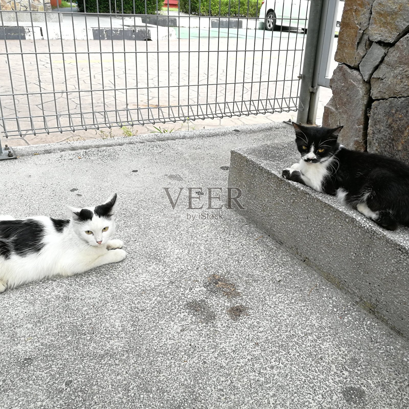 黑色和白色照片摄影图片