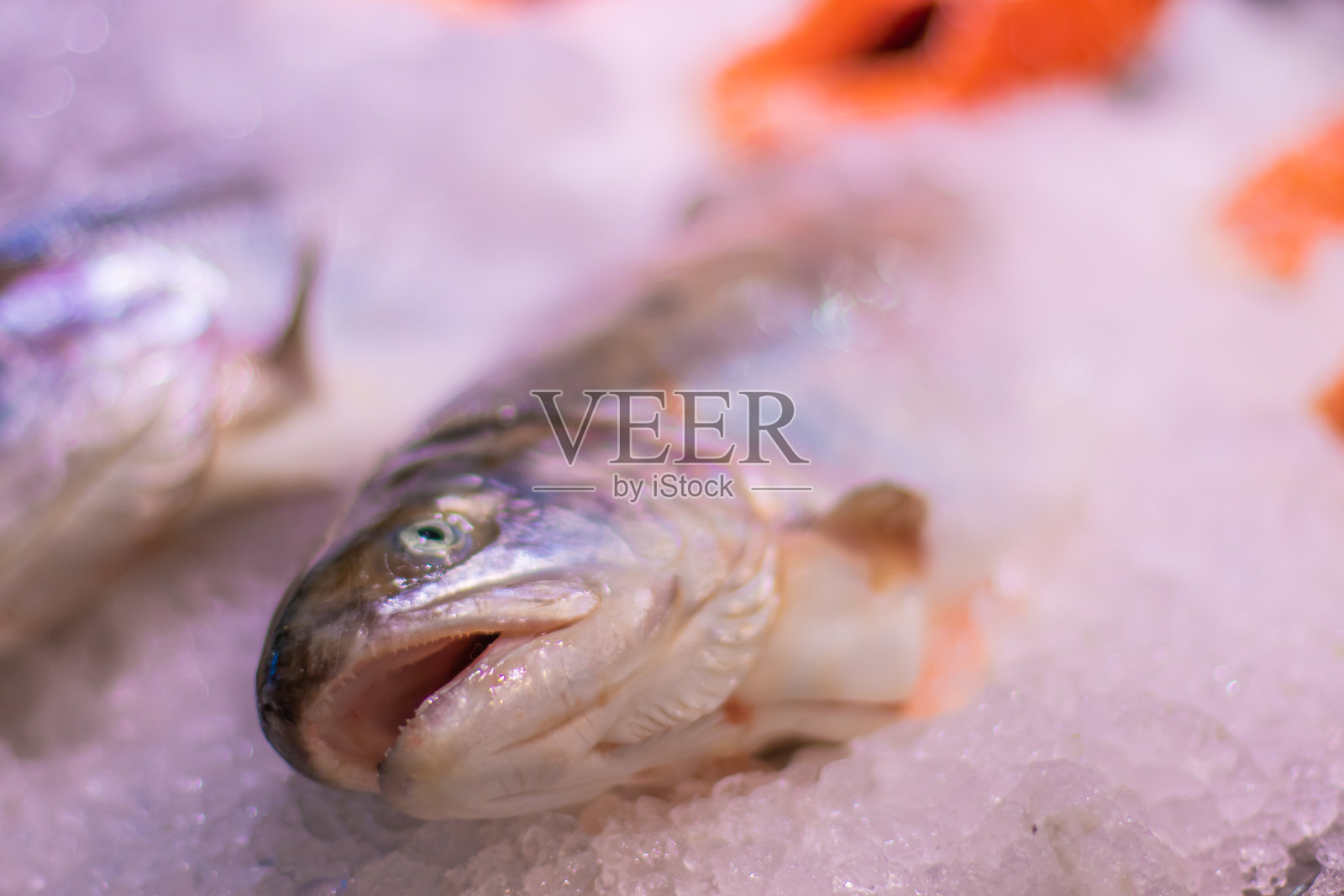 市面上有新鲜的冰鲑鱼，背景是鲑鱼排照片摄影图片