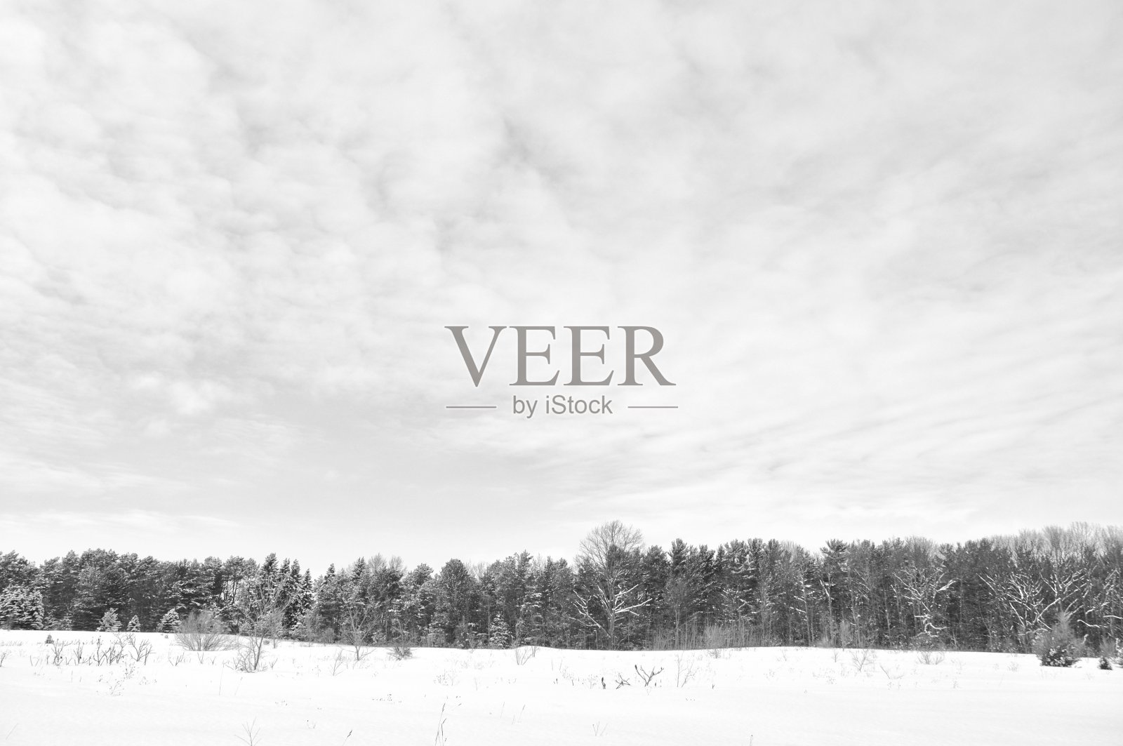 户外冬雪自然日照片摄影图片