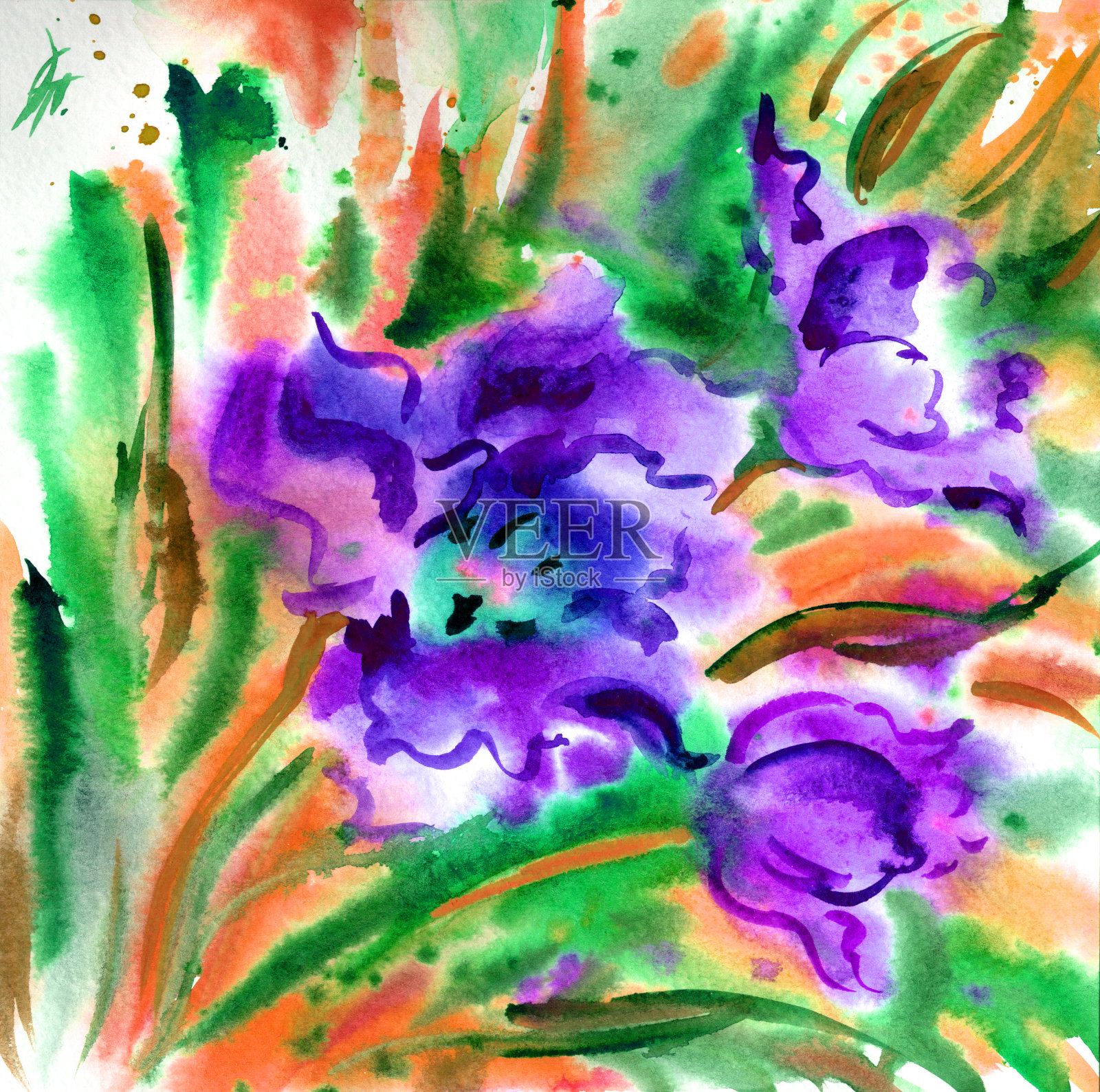 紫罗兰花，抽象水彩画插画图片素材