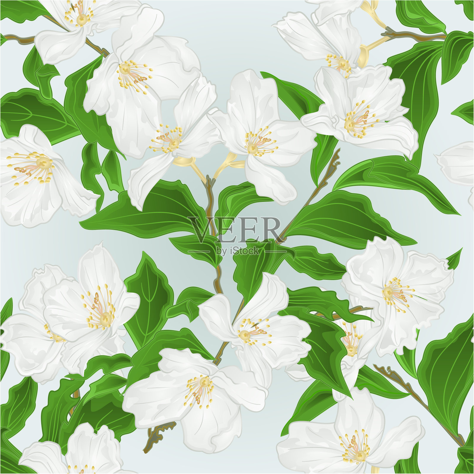 无缝纹理花茉莉枝蓝色背景复古矢量插图编辑插画图片素材
