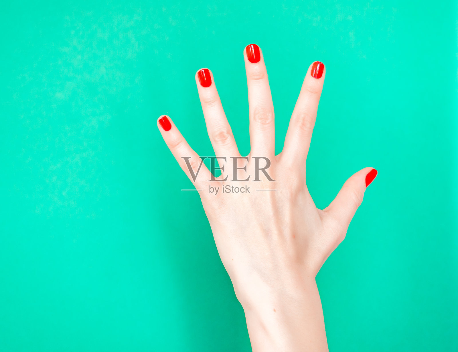 手显示停止标志。这只手表示数字5。当你想让某事或某人停下来时，用手掌表示照片摄影图片