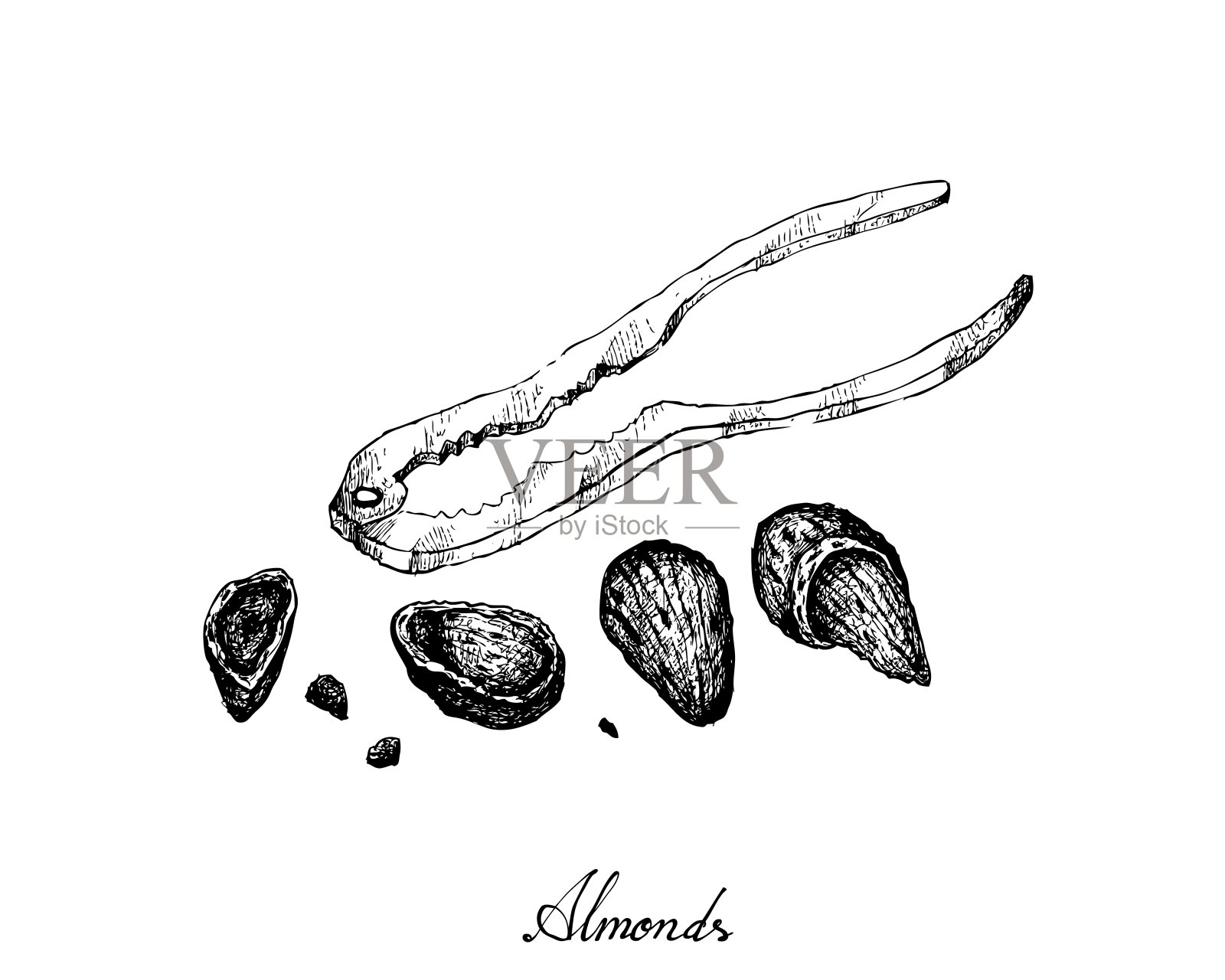 手绘杏仁和胡桃夹子插画图片素材