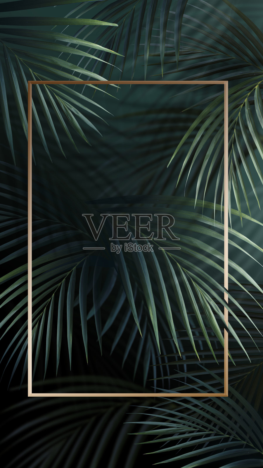 叶子上的金色边框照片摄影图片